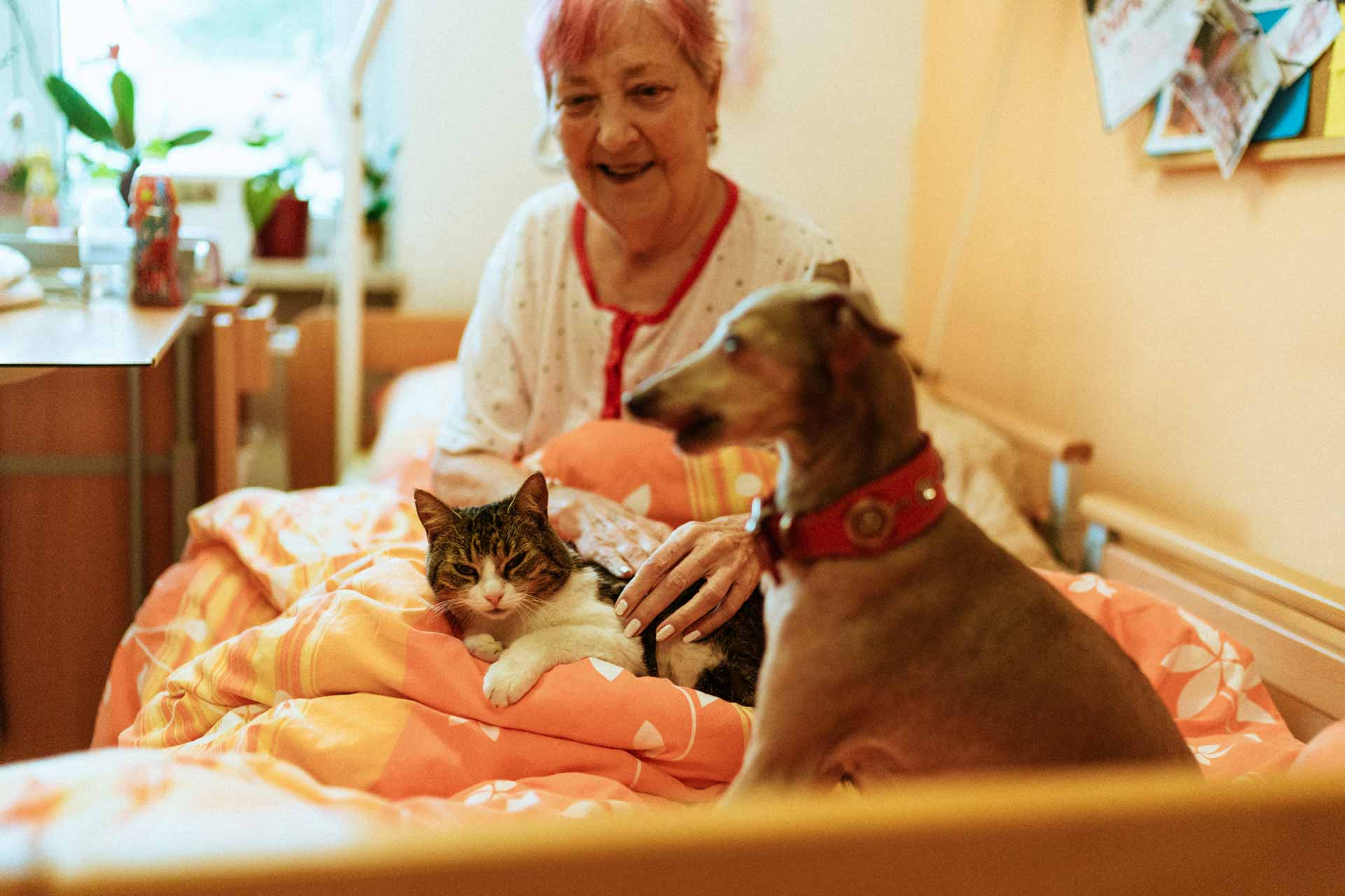 Elderly woman and her pets, sitting in her cozy bed.